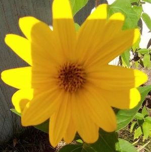 Meet your Posher, Janette